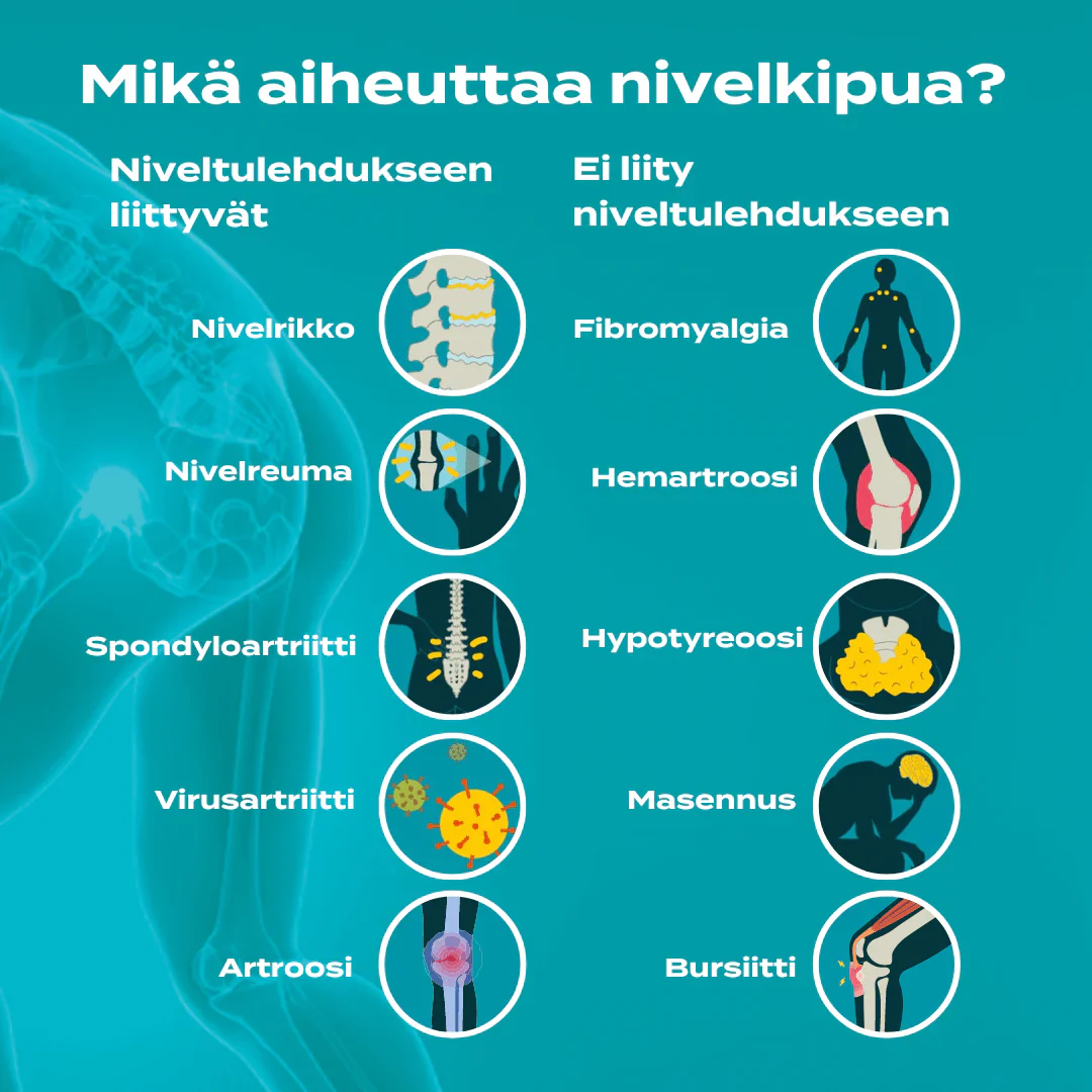 Tuotekuva 4