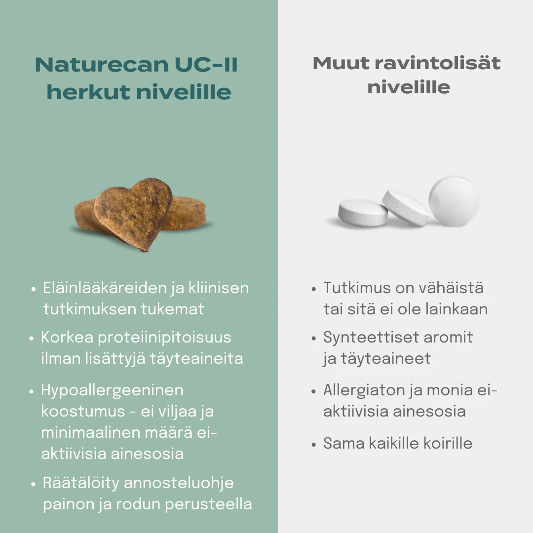 Tuotekuva 8